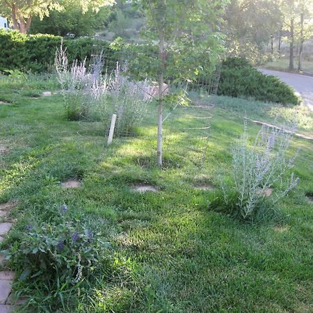 Mystic Portal 420 Guesthouse Colorado Springs Buitenkant foto
