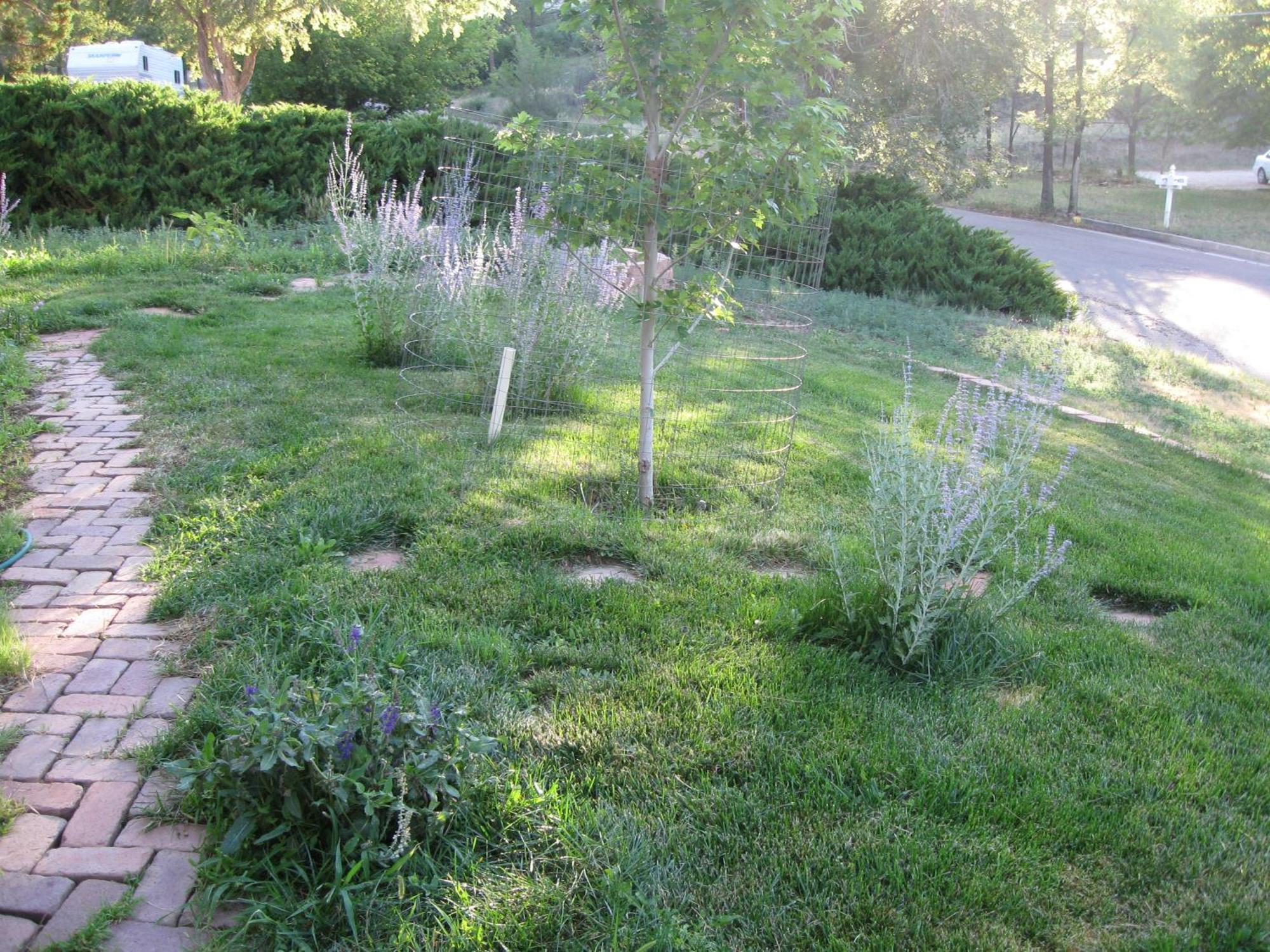 Mystic Portal 420 Guesthouse Colorado Springs Buitenkant foto